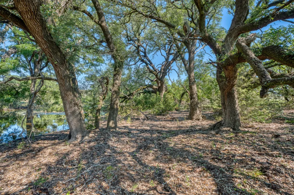 16 Sable Pass Lampasas, TX 76550