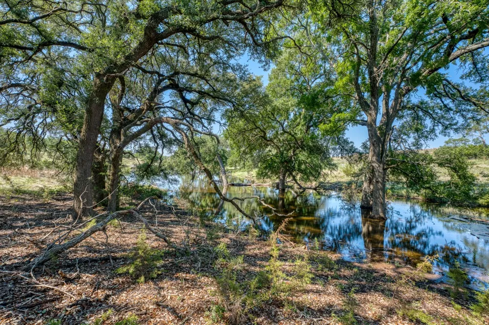 16 Sable Pass Lampasas, TX 76550