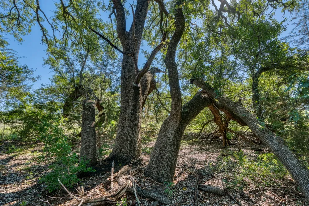16 Sable Pass Lampasas, TX 76550