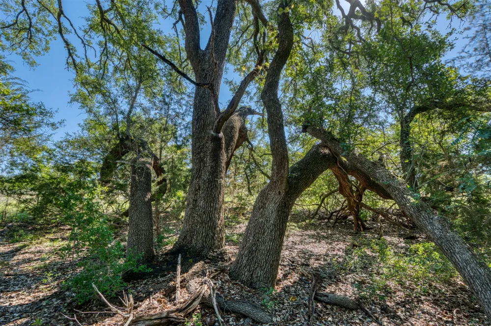 16 Sable Pass Lampasas, TX 76550