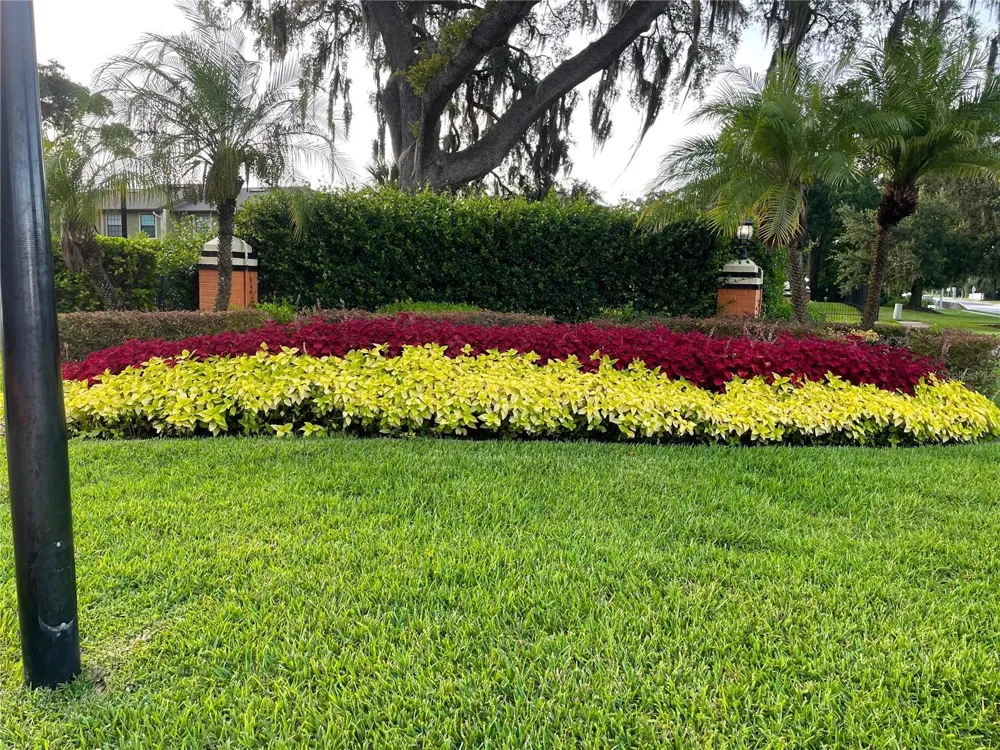 7327 FOREST HILL COURT #223 Winter Park, FL 32792