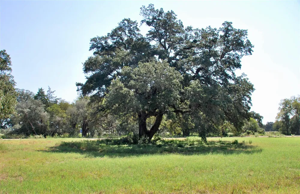 4 Harvell Lane Schulenburg, TX 78956