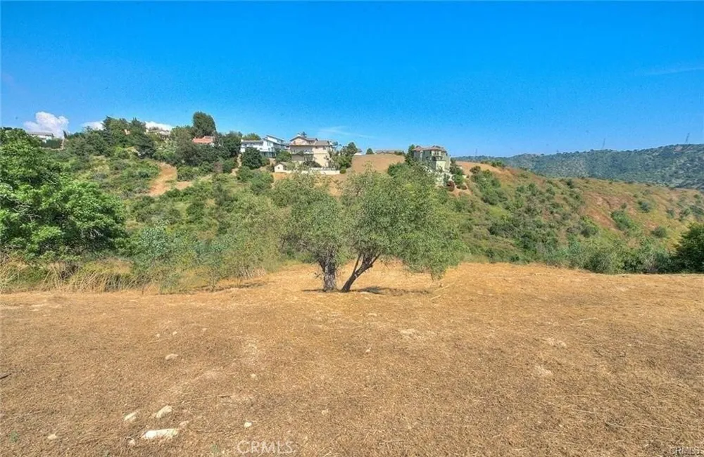 2690 Indian Creek Rd Diamond Bar, CA 91765