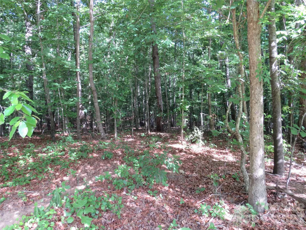 0 S Woodleaf Road Forest City, NC 28043