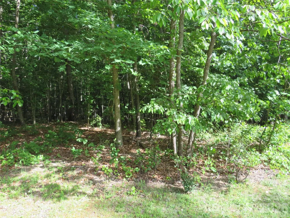 0 S Woodleaf Road Forest City, NC 28043