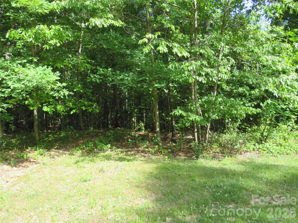 0 S Woodleaf Road Forest City, NC 28043