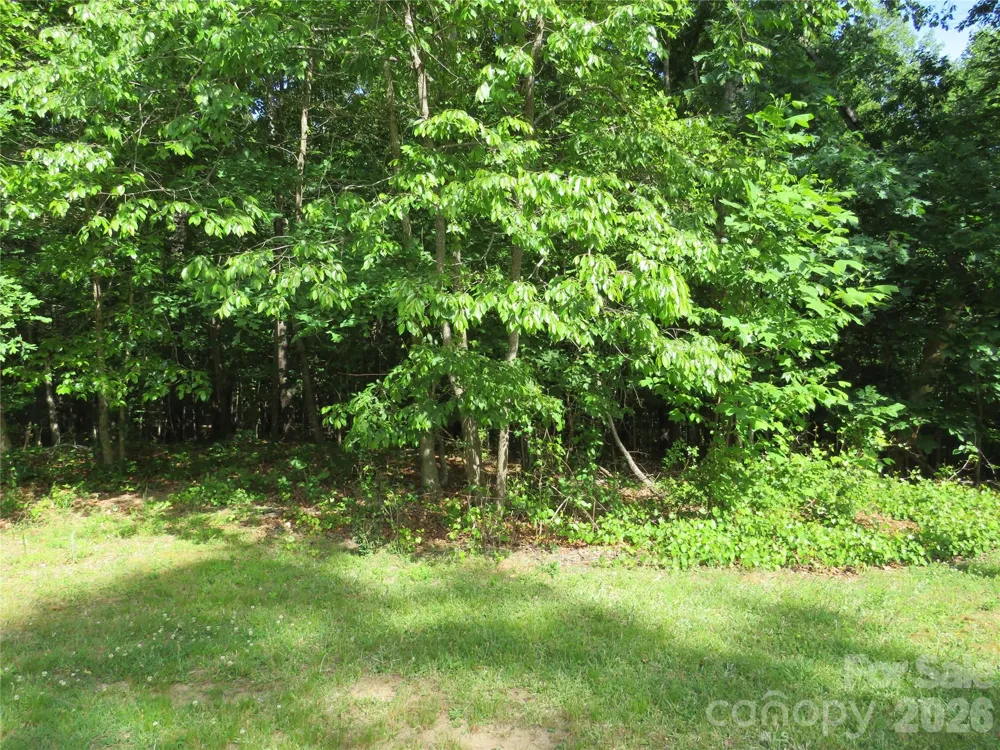 0 S Woodleaf Road Forest City, NC 28043