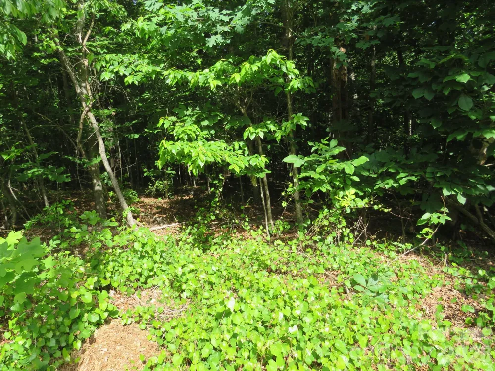 0 S Woodleaf Road Forest City, NC 28043