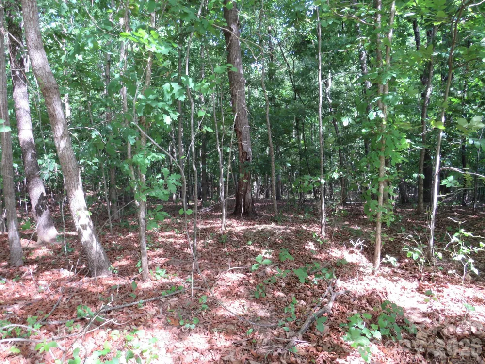 0 S Woodleaf Road Forest City, NC 28043
