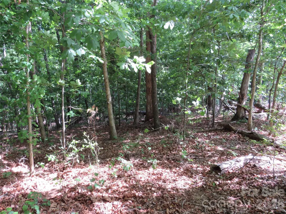 0 S Woodleaf Road Forest City, NC 28043