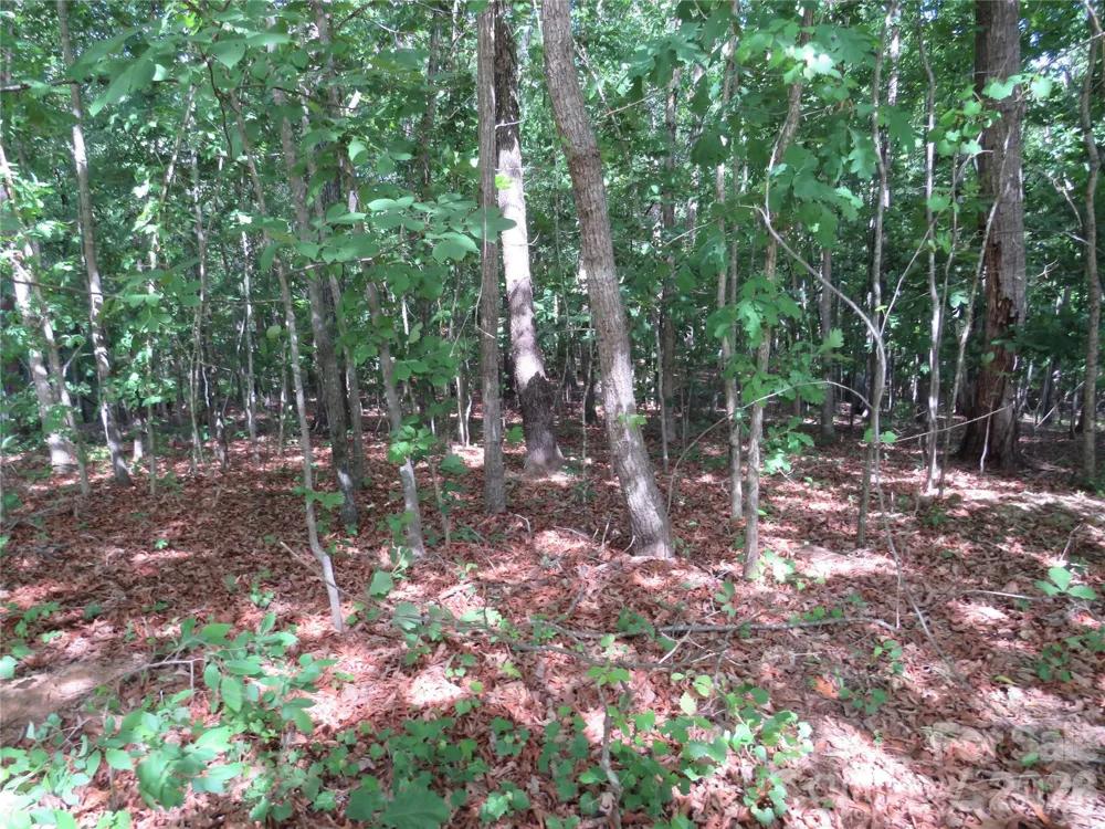 0 S Woodleaf Road Forest City, NC 28043