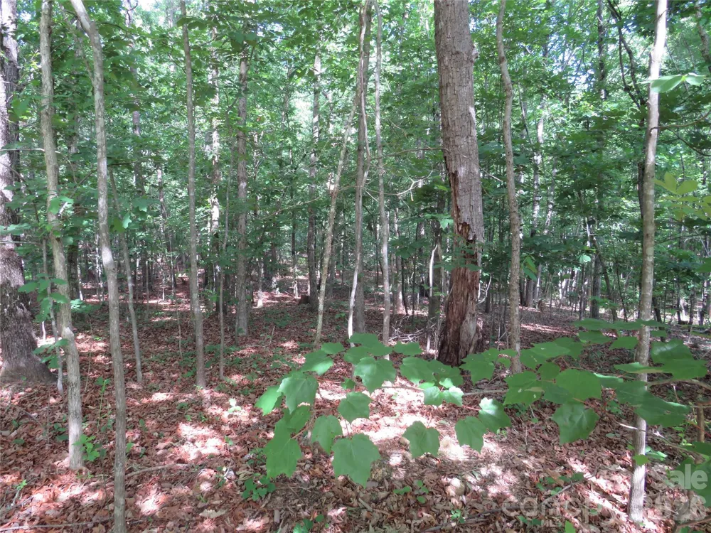 0 S Woodleaf Road Forest City, NC 28043