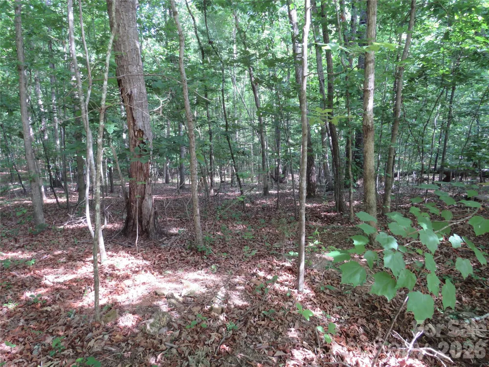 0 S Woodleaf Road Forest City, NC 28043