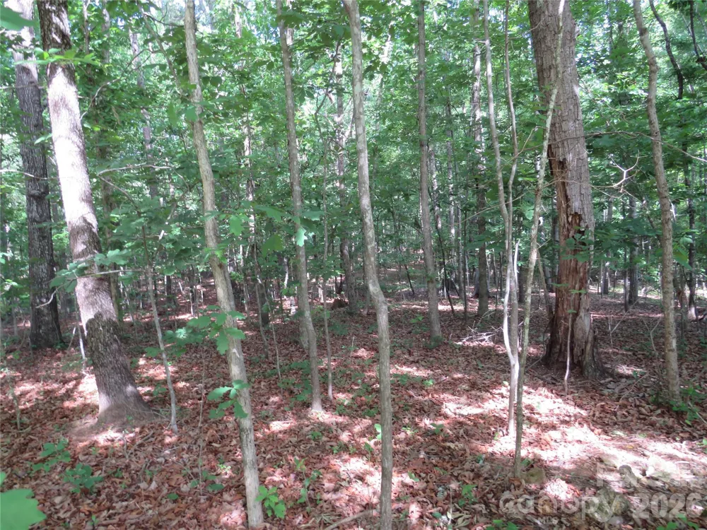 0 S Woodleaf Road Forest City, NC 28043