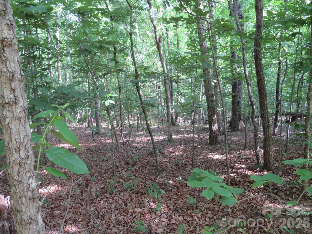 0 S Woodleaf Road Forest City, NC 28043