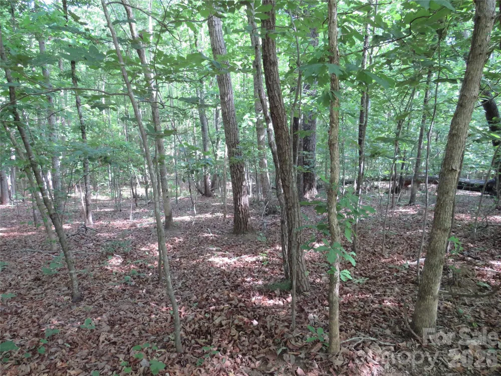 0 S Woodleaf Road Forest City, NC 28043
