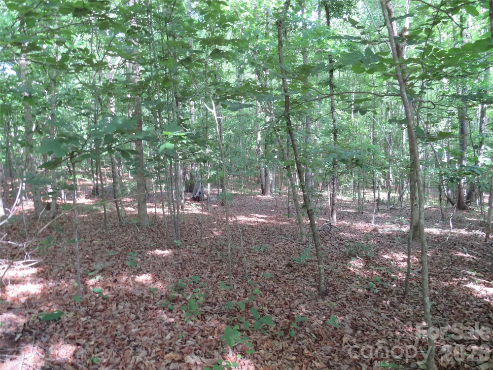 0 S Woodleaf Road Forest City, NC 28043