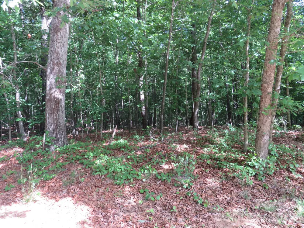 0 S Woodleaf Road Forest City, NC 28043