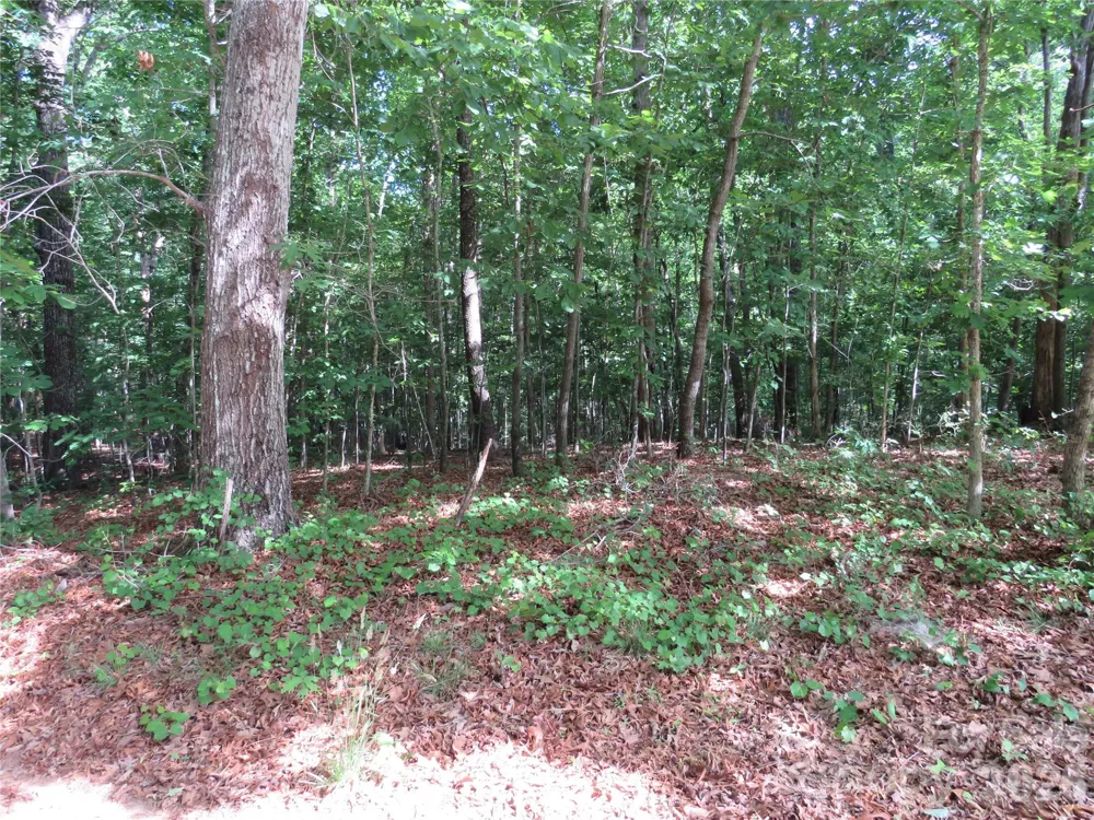 0 S Woodleaf Road Forest City, NC 28043