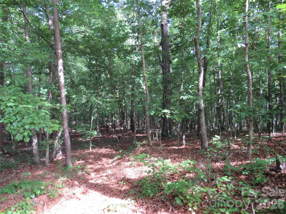 0 S Woodleaf Road Forest City, NC 28043