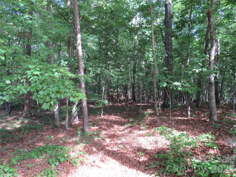 0 S Woodleaf Road Forest City, NC 28043