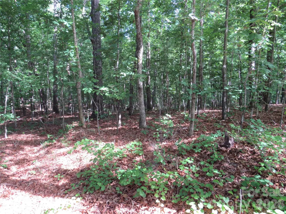 0 S Woodleaf Road Forest City, NC 28043