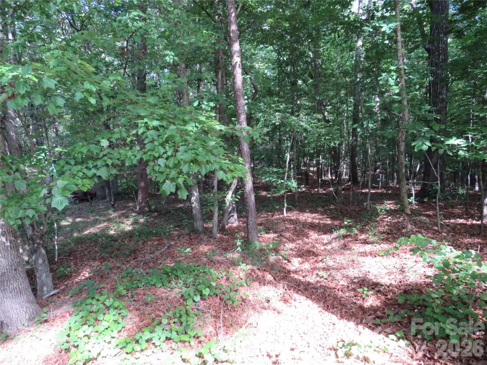 0 S Woodleaf Road Forest City, NC 28043