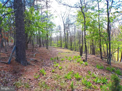CROSSINGS VIEW ROAD