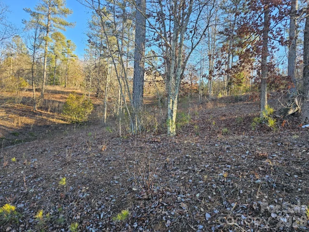 2167 Inlet Shore Road NE Connelly Springs, NC 28612