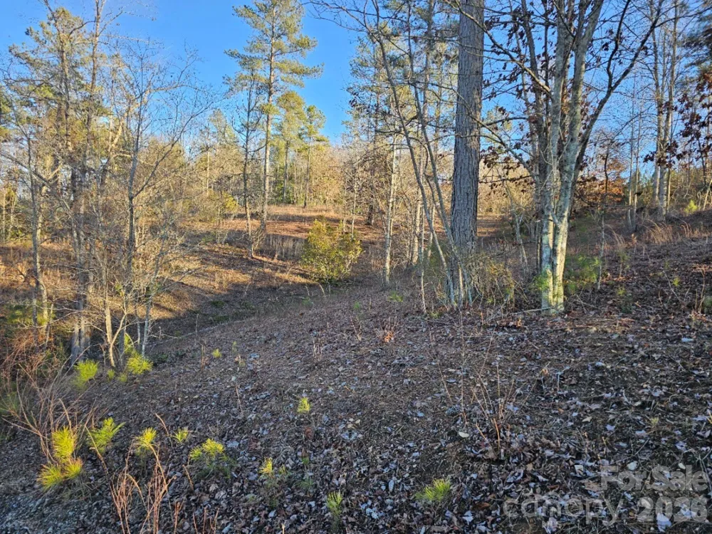 2167 Inlet Shore Road NE Connelly Springs, NC 28612