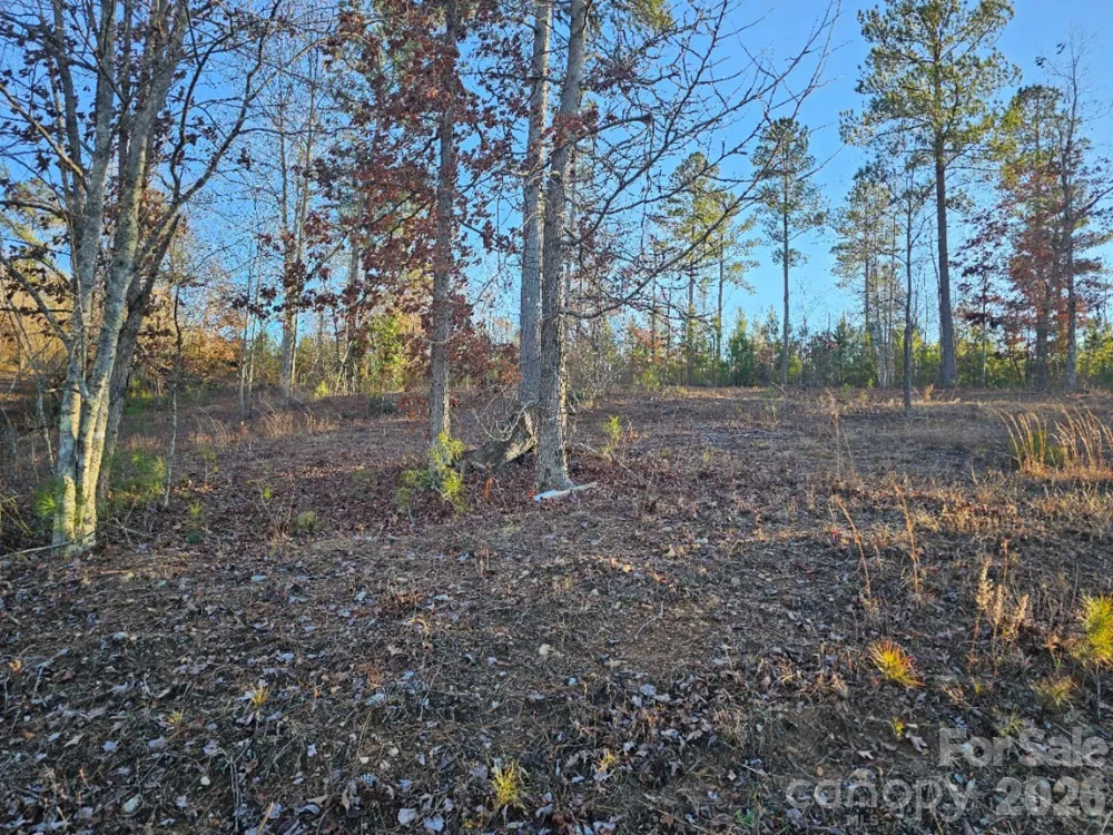 2167 Inlet Shore Road NE Connelly Springs, NC 28612