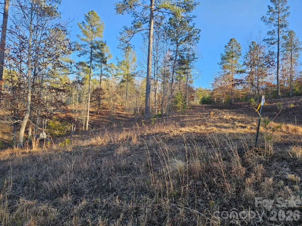 2167 Inlet Shore Road NE Connelly Springs, NC 28612