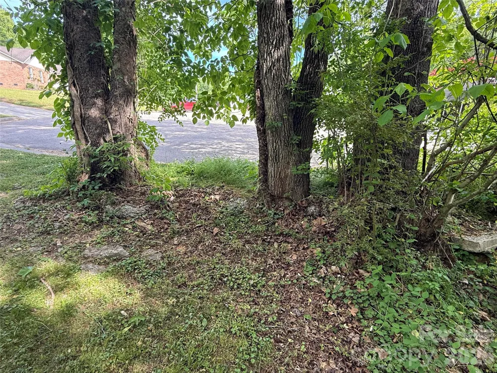 0 Azalea Lane China Grove, NC 28023