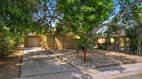 1225 Dallas Street