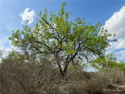CR 104