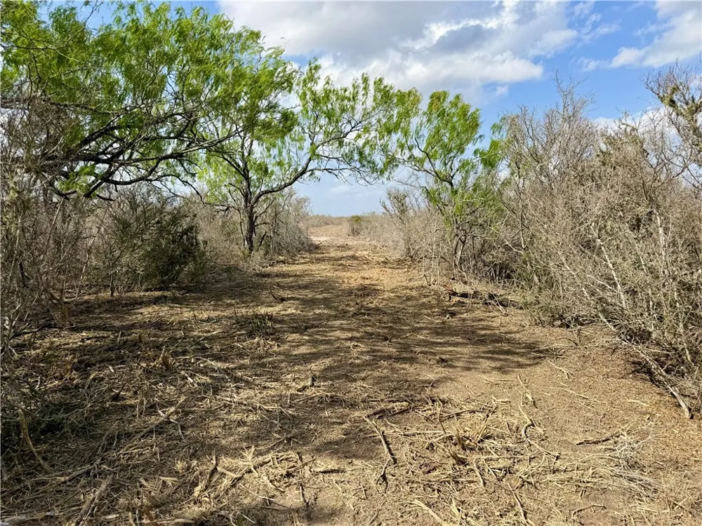 CR 104 San Diego, TX 78334