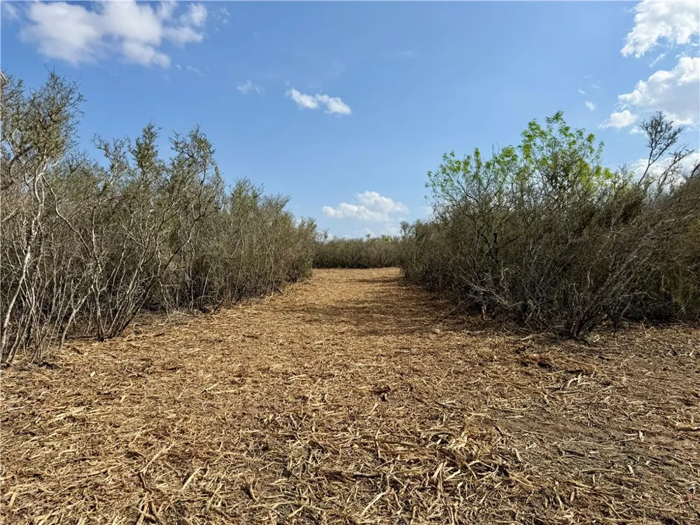 CR 104 San Diego, TX 78334