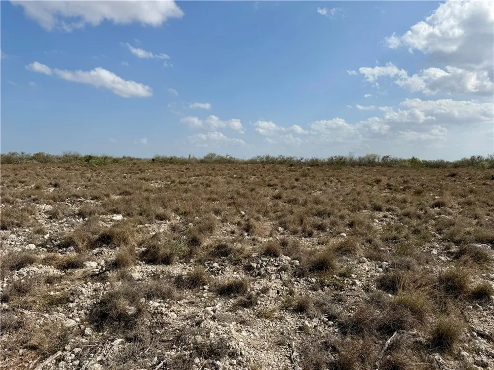 CR 104 San Diego, TX 78334