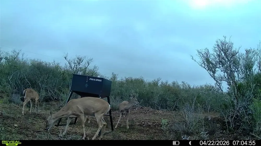 CR 104 San Diego, TX 78334