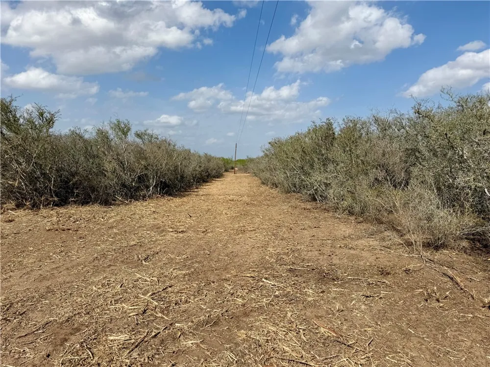 CR 104 San Diego, TX 78334