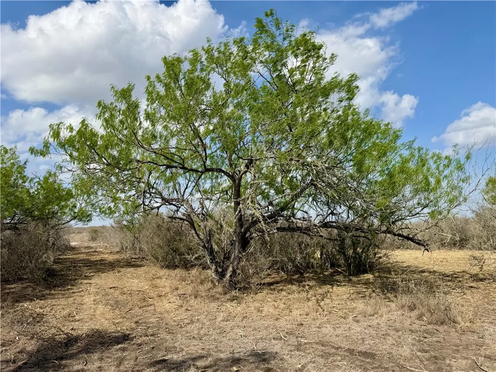 CR 104 San Diego, TX 78334