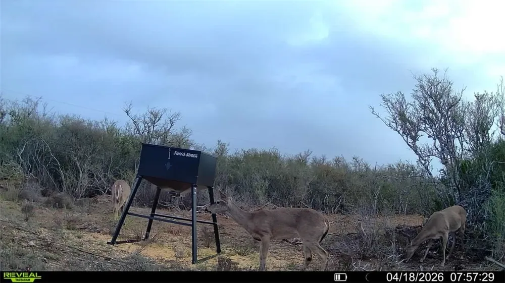 CR 104 San Diego, TX 78334