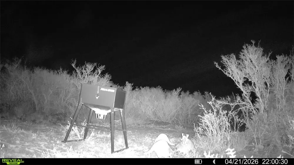 CR 104 San Diego, TX 78334