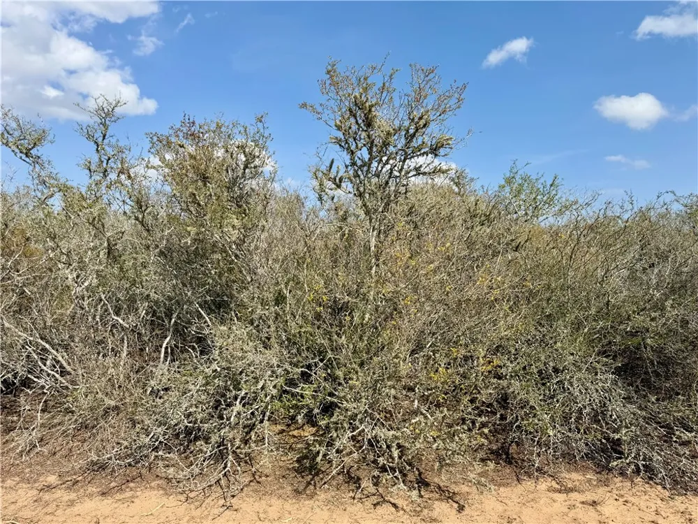 CR 104 San Diego, TX 78334