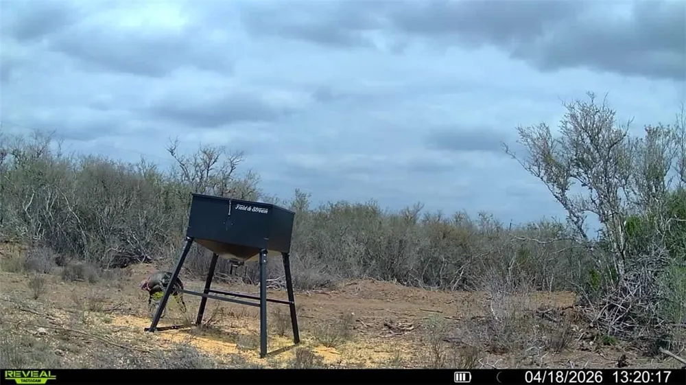 CR 104 San Diego, TX 78334