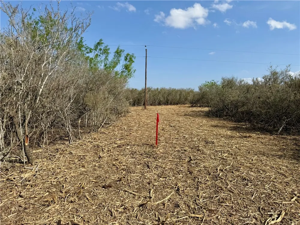 CR 104 San Diego, TX 78334