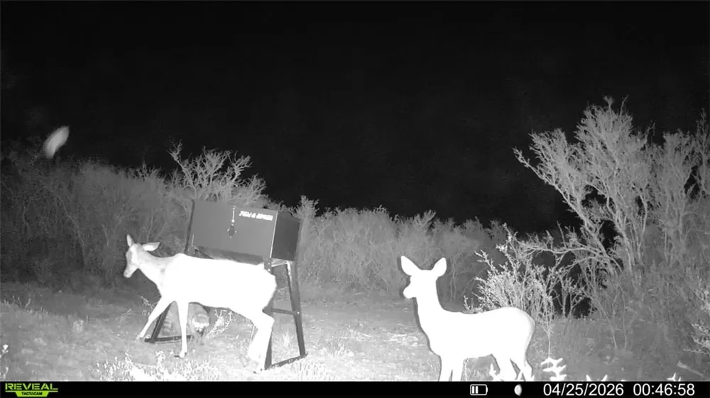 CR 104 San Diego, TX 78334