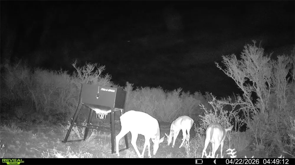 CR 104 San Diego, TX 78334