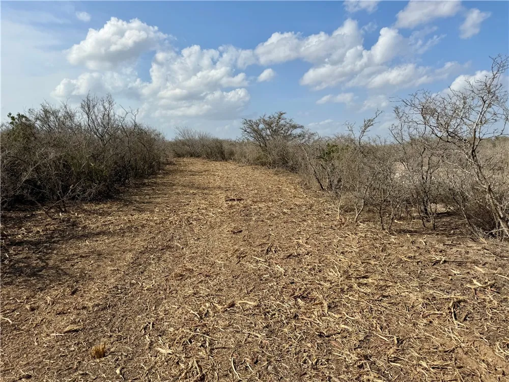 CR 104 San Diego, TX 78334