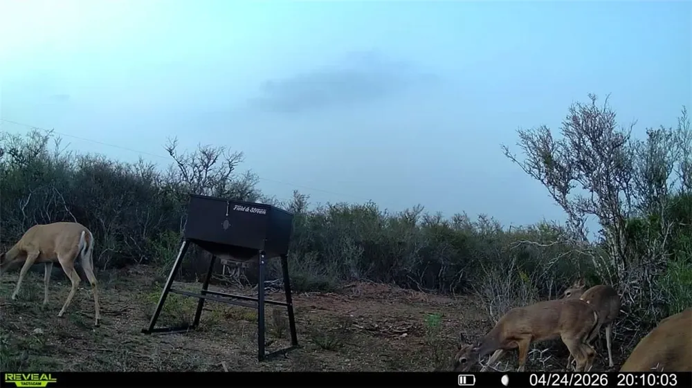 CR 104 San Diego, TX 78334